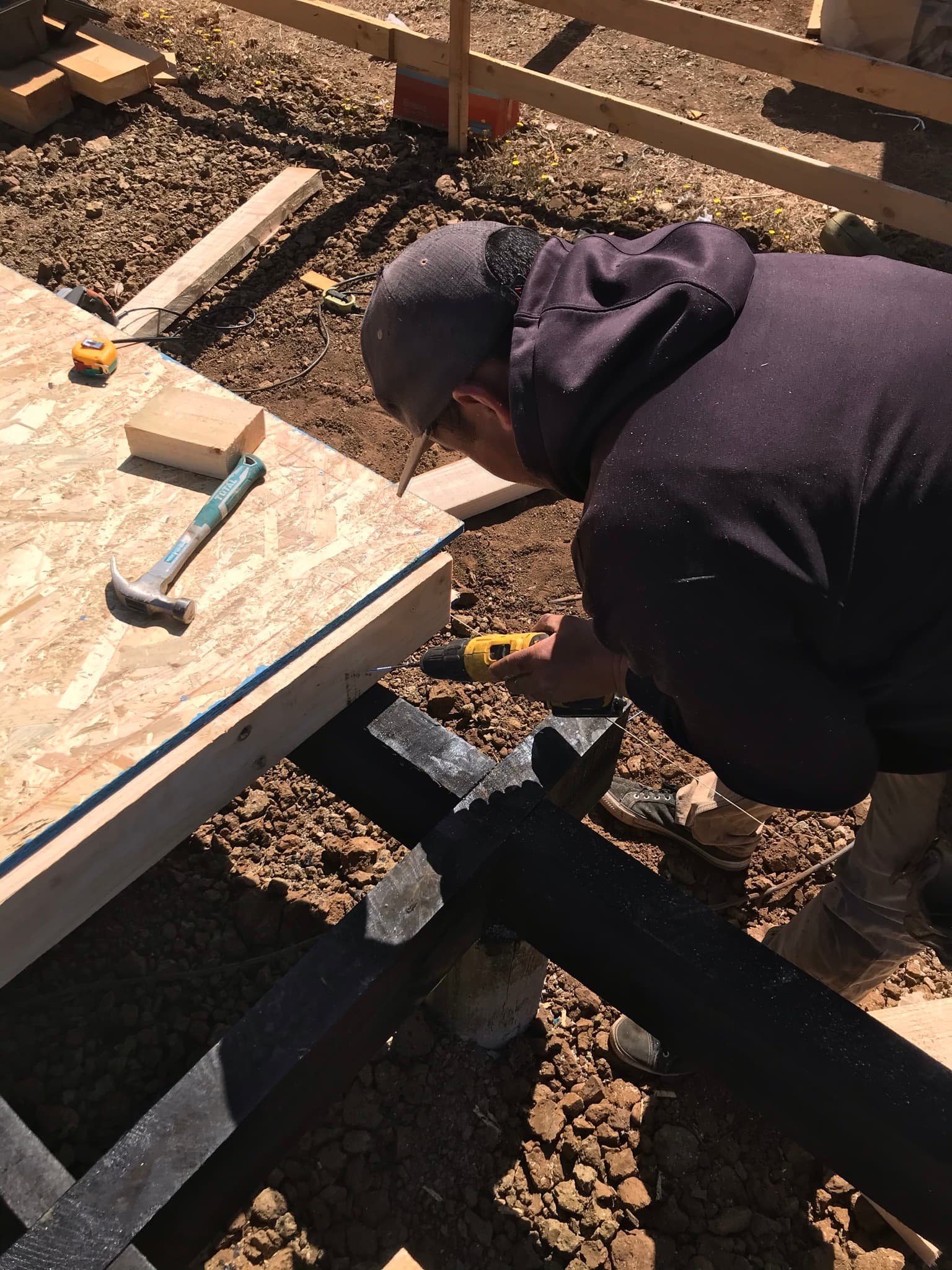 Identidad operativa Polarnex — construcción real
